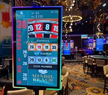 Casino Chips